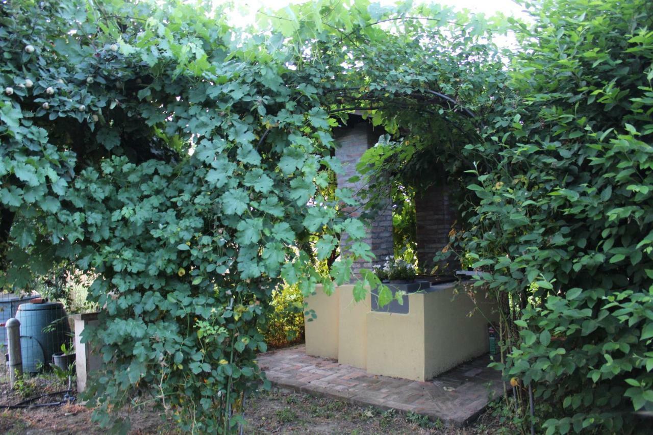 B&B Il Pozzo Castenaso Exteriör bild